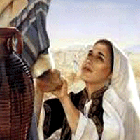 Domingo XX. La confianza en Jesús