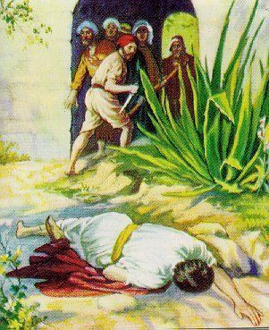 Domingo XXVII. Labradores de la viña