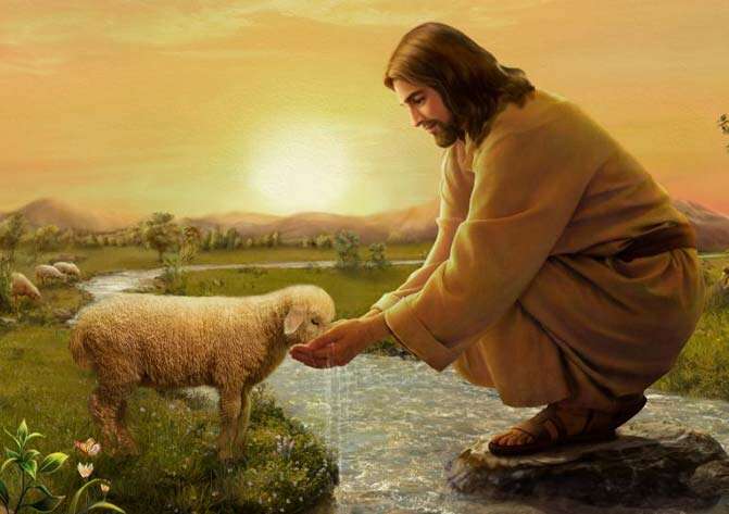 IV Domingo. El buen pastor.