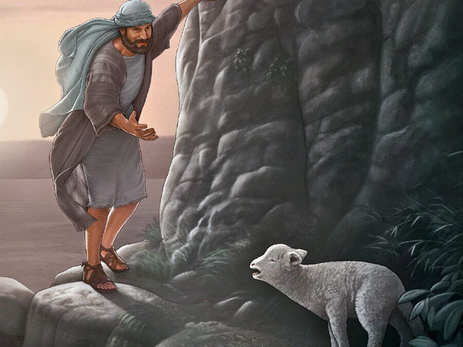 Domingo XXIV. La misericordia