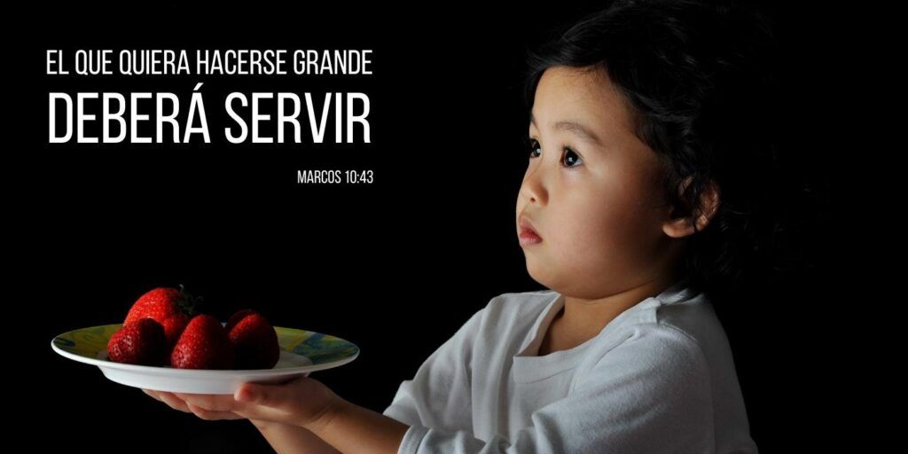 Domingo XXVII. La gratuidad del servicio