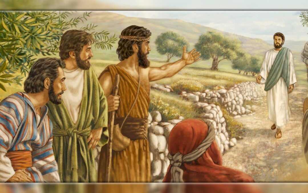 II Domingo T.O. El Hijo de Dios