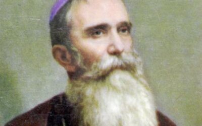 FRANCISCO DE ORIHUELA (1849-1914).