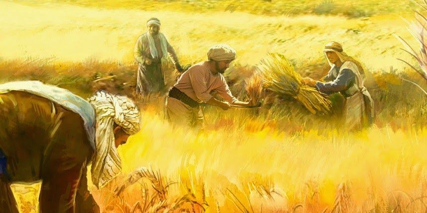 Domingo XVI. Oraciones de la Eucaristía