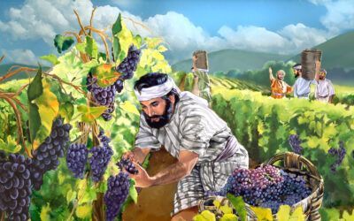 Domingo XXVII. Oraciones de la Eucaristía