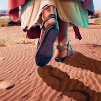 Seguir a Jesús