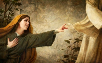 Domingo XIII T.O. Las oraciones de la Eucaristía